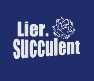 Lier.succulent株式会社のホームページ